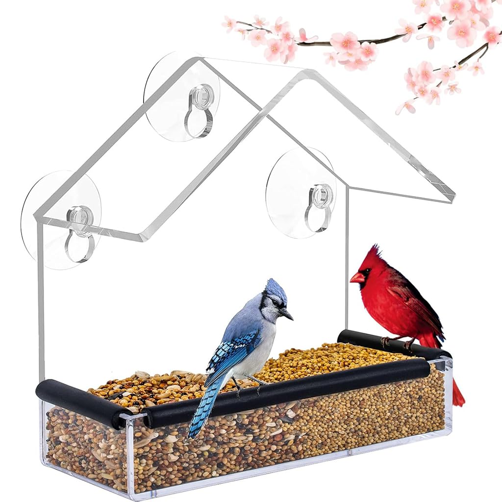 Window Bird Feeder with 3 Suction Cups, Acrylic Clear Bird House Box