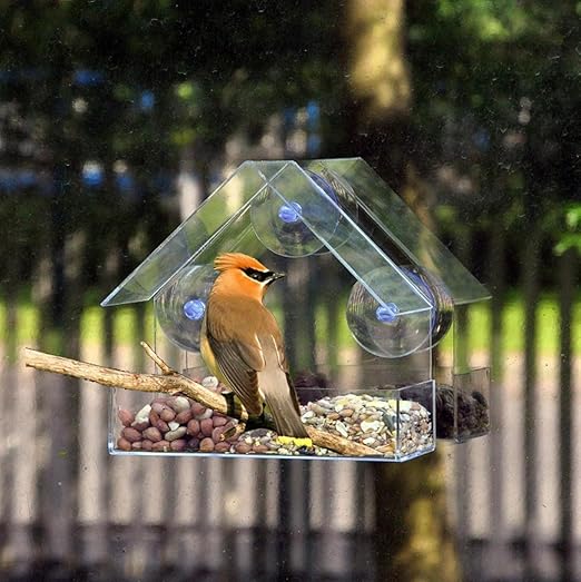 Window Bird Feeder with 3 Suction Cups, Acrylic Clear Bird House Box