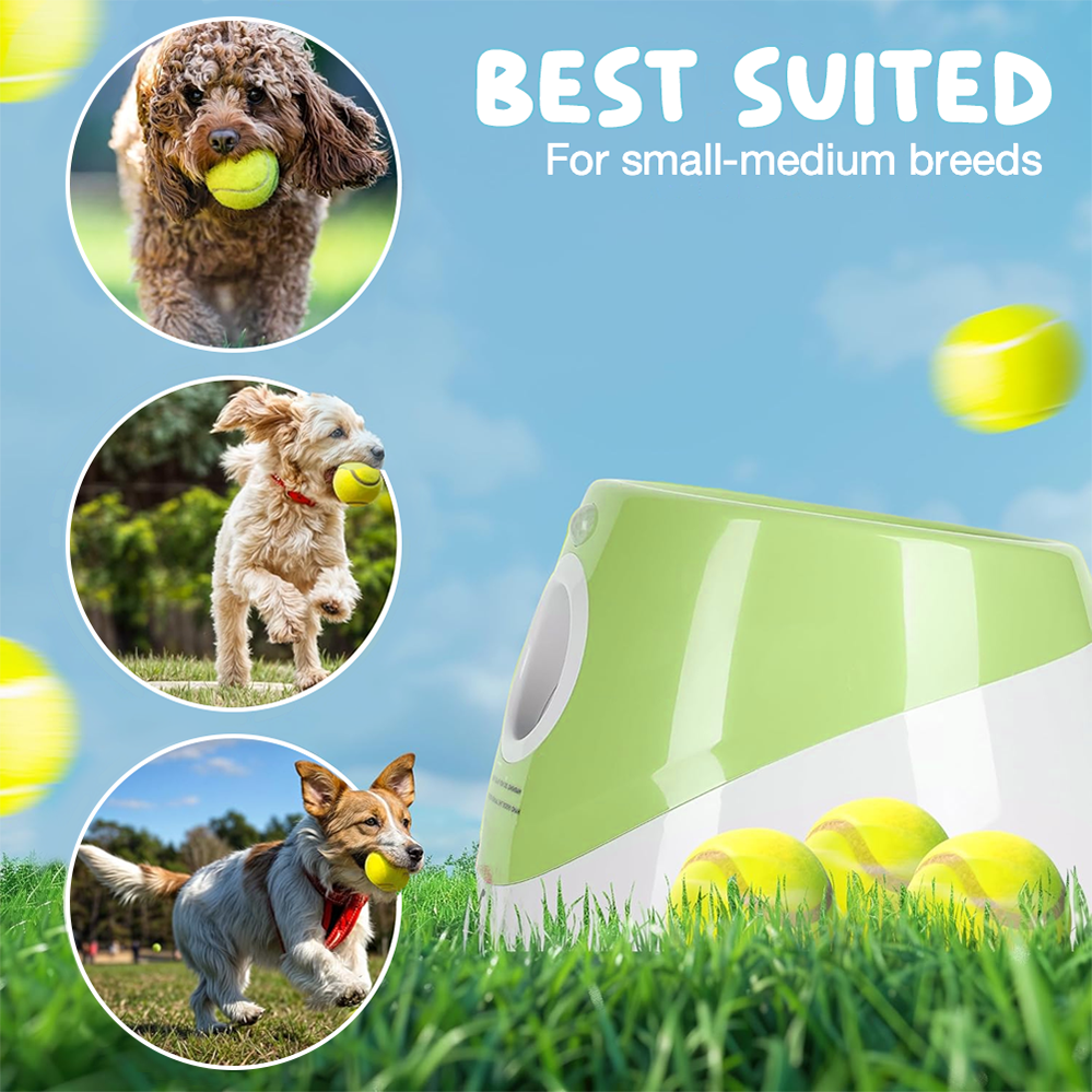 Automatic Dog Ball Launcher – Includes 6 Balls, Green By TopikaPet