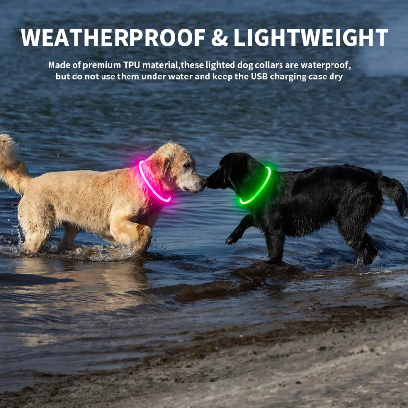 TopikaPet LED Dog Collar, USB Rechargeable, Cut-to-Fit, Pet Safety Light Dog & Cat Collar & Chain Each