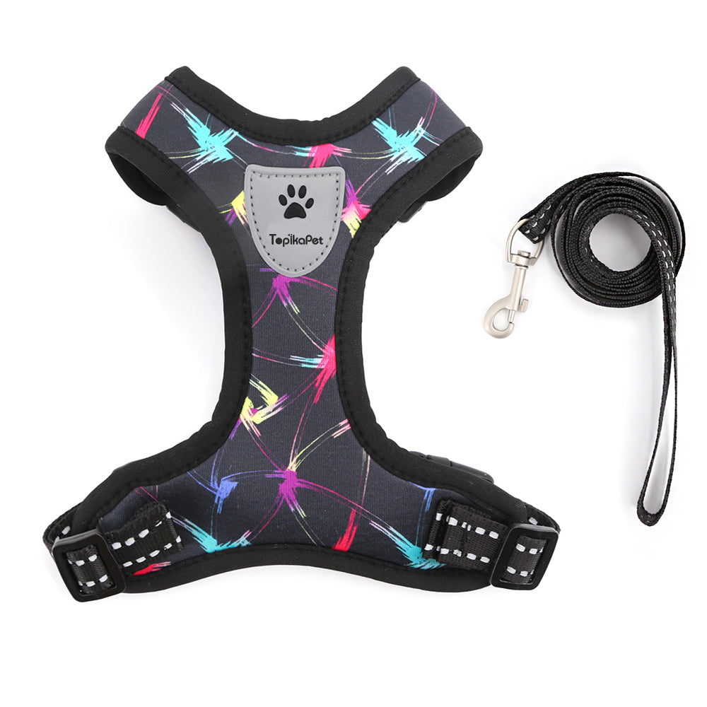 Cat harness with colorful abstract pattern and matching leash on a white background