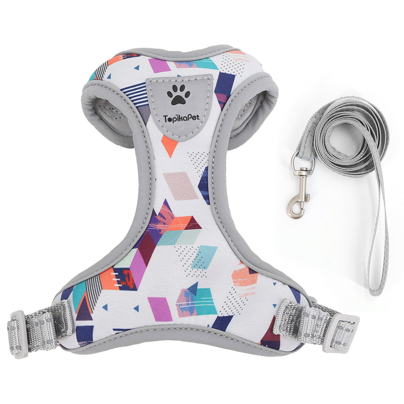 Dog harness with colorful geometric pattern and matching leash on a white background