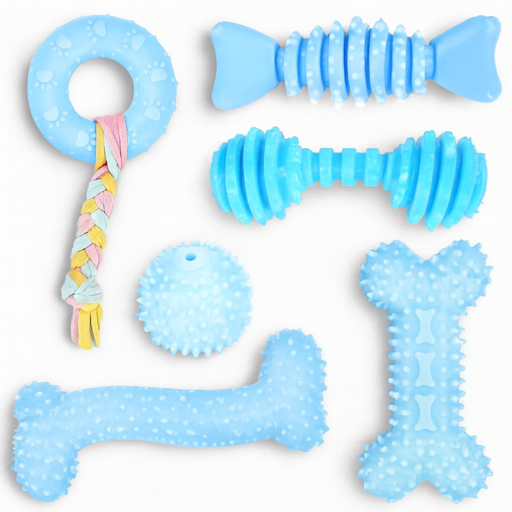 Set of blue dog toys with different textures on a white background