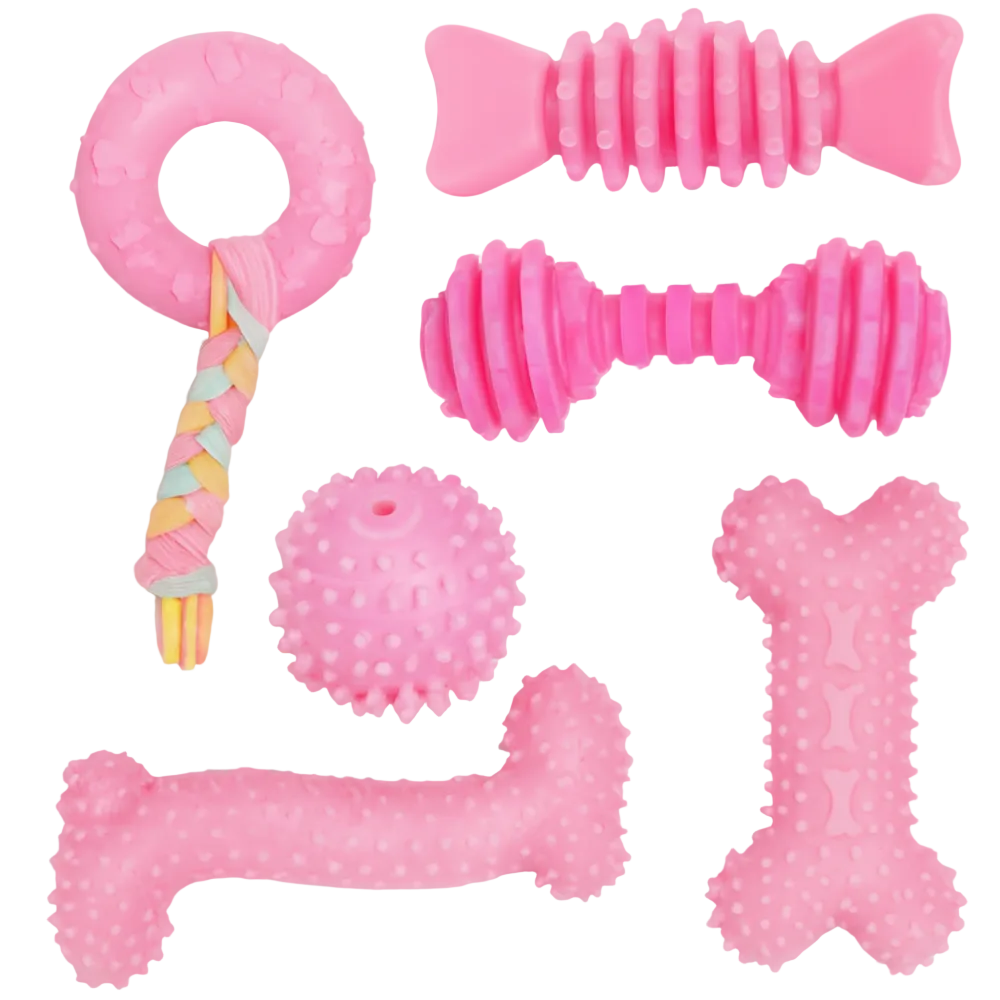 Set of pink pet toys including a rattle, chew toy, and bone-shaped toy on a white background.