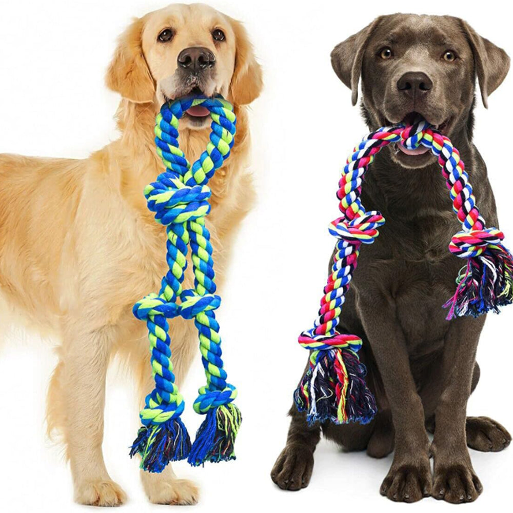 Two dogs with colorful rope toys on a white background