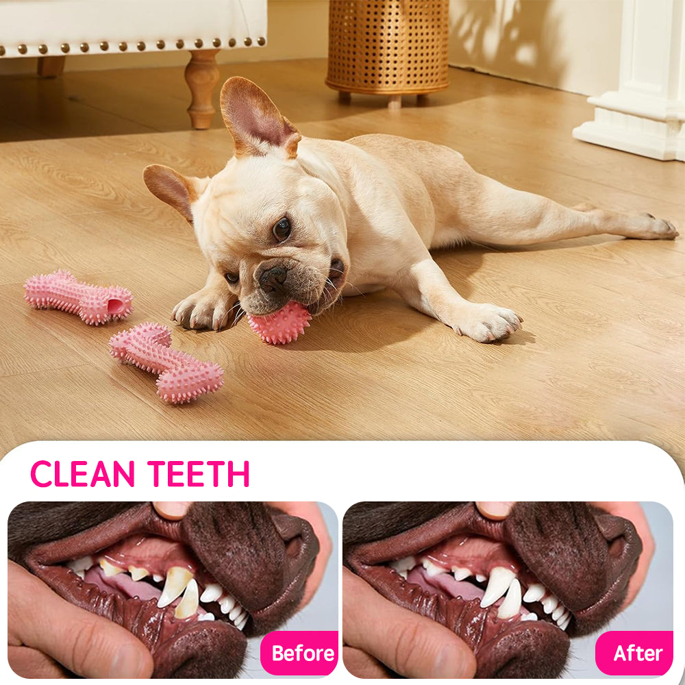Puppy Chew & Squeaky Toy Set – 6 Pack Teething Toys for Small Dogs, Pink By TopikaPet