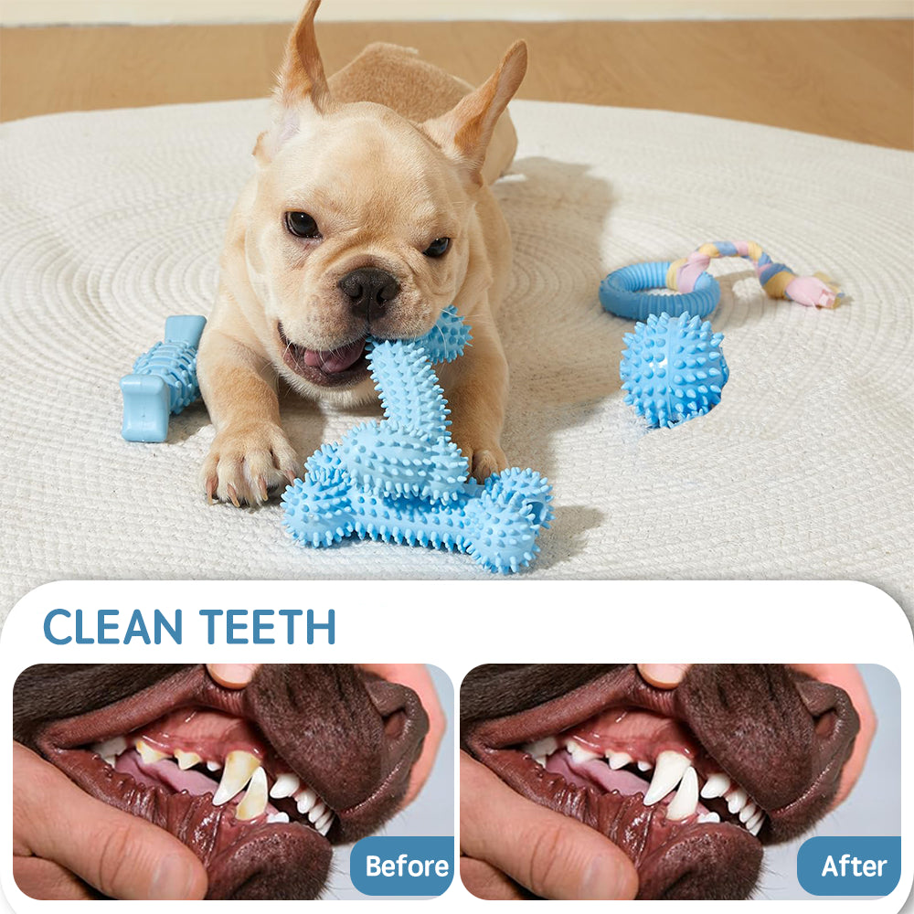 Puppy Chew & Squeaky Toy Set – 6 Pack Teething Toys for Small Dogs, Blue By TopikaPet