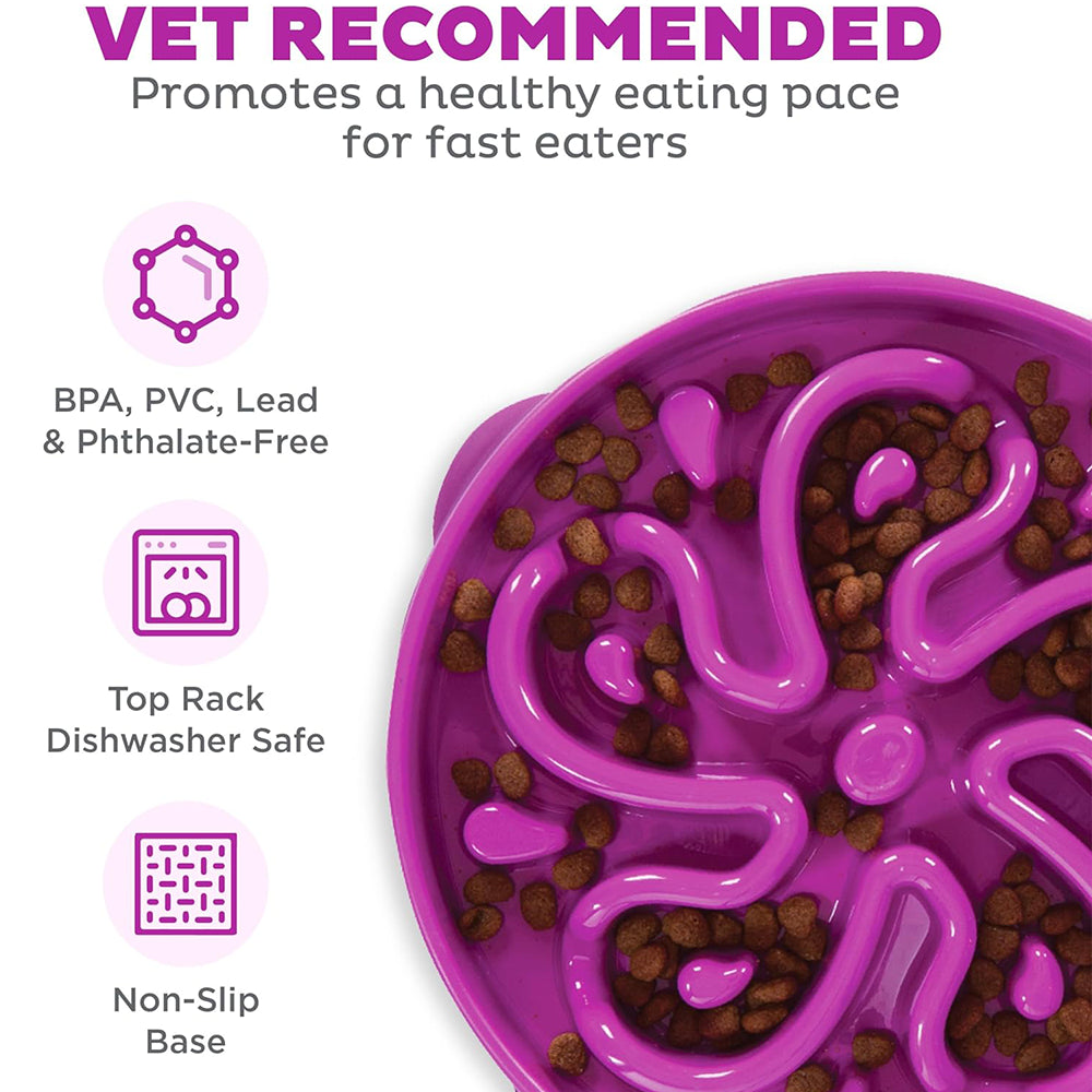 Slow Feeder Dog Bowl – Anti-Choke Design, Promotes Healthy Digestion By TopikaPet